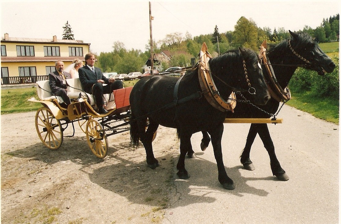skenovat0010.jpg