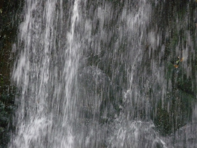 říjen 09 205.JPG