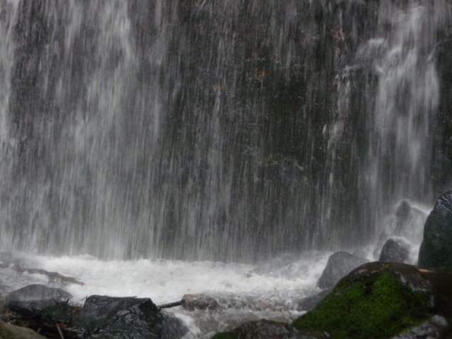 říjen 09 206.JPG