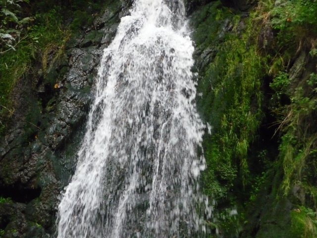 říjen 09 207.JPG
