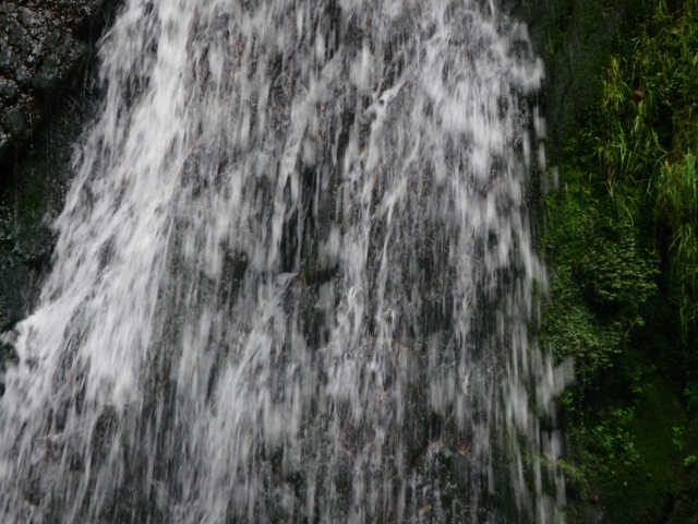 říjen 09 208.JPG