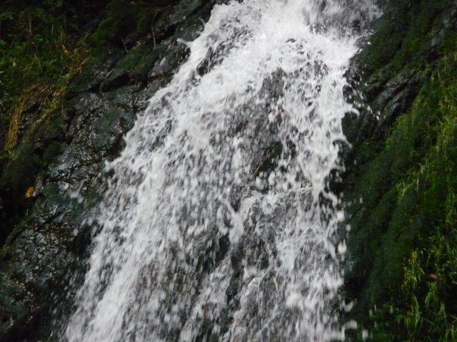 říjen 09 214.JPG