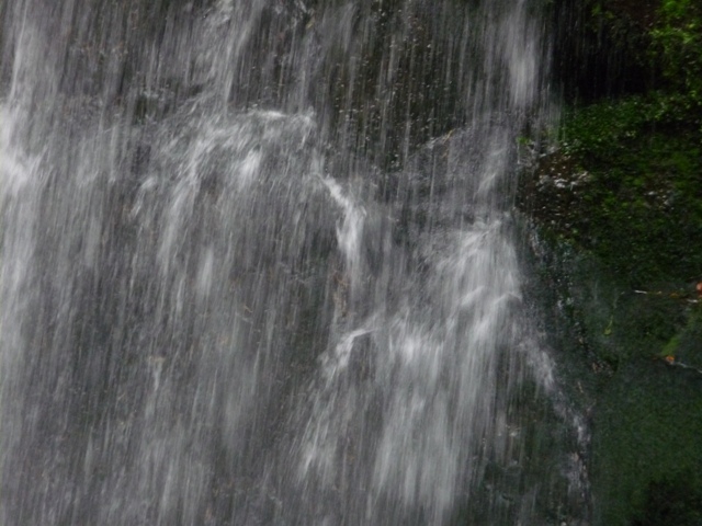 říjen 09 215.JPG