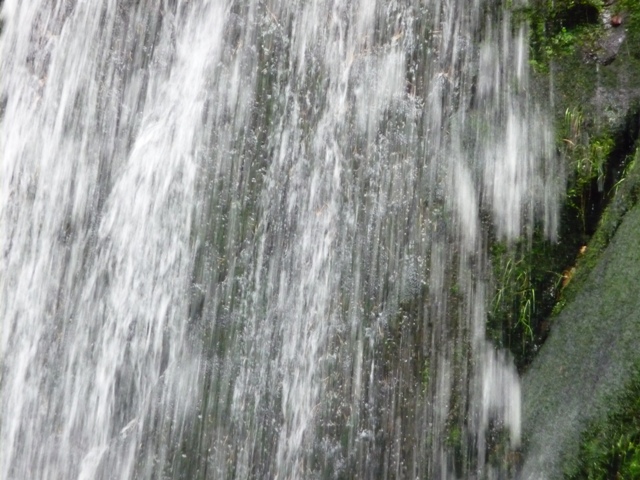 říjen 09 216.JPG