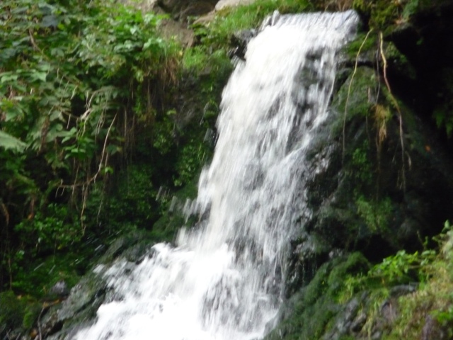 říjen 09 217.JPG