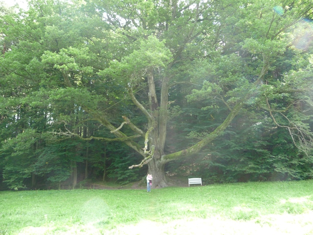 říjen 09 224.JPG