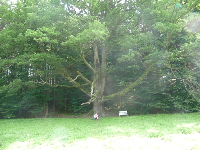 říjen 09 225.JPG
