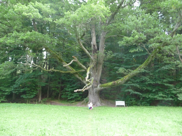říjen 09 226.JPG