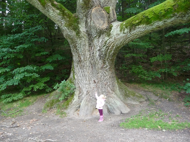 říjen 09 228.JPG